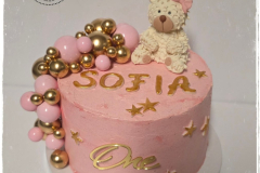 615458653_1457813819684810_7825406989998246108_n