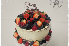 603866494_1440464121419780_3879645876448643363_n