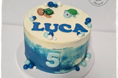 611154228_1449112390554953_7368504898628367027_n